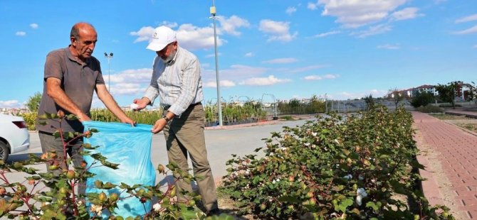 Çolakbayrakdar,Kayseri’nin yeşil dokusunu zenginleştiriyoruz