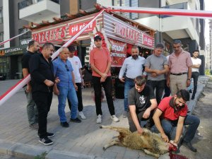 Talas Çiğköfte Nostalji Cafe hizmete açıldı