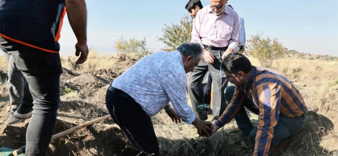 Yalçın: "Diktiğiniz fidanlar dünyaya iyilik olarak yansıyacak"