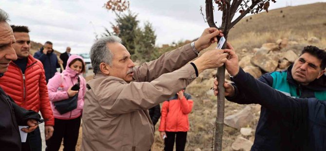 Başkan Yalçın: “Bir çakıl taşını feda etmeyiz”