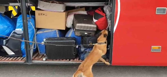 Yolcu otobüsünde uyuşturucu operasyonu: 1 gözaltı