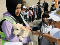 Talas Pati Evi takdir topluyor