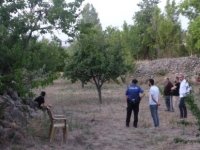 Beğendik'te budamak için çıktığı ağaçtan düşerek hayatını kaybetti